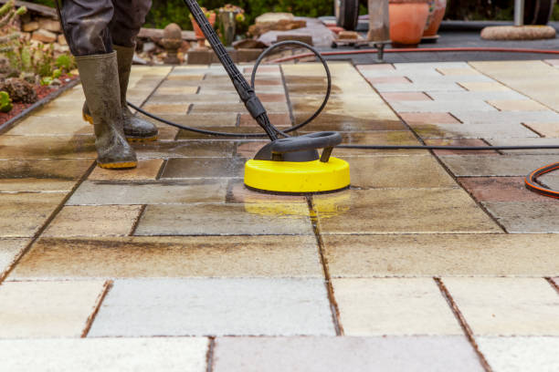 Animal Enclosure Cleaning in Perry, OH